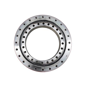 Gearless Slewing Bearing